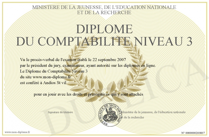 diplome homologue niveau 3